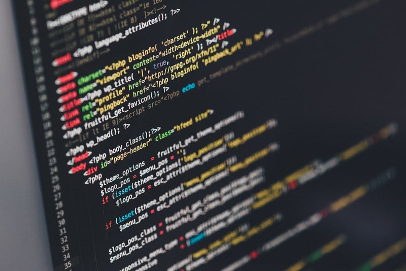 Software Developer